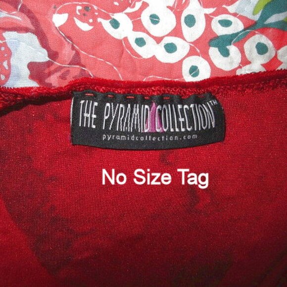 Vtg Pyramid Collection Velvet Babydoll Tunic Top Size M Ruffle Vamp Goth Grunge - Picture 5 of 10